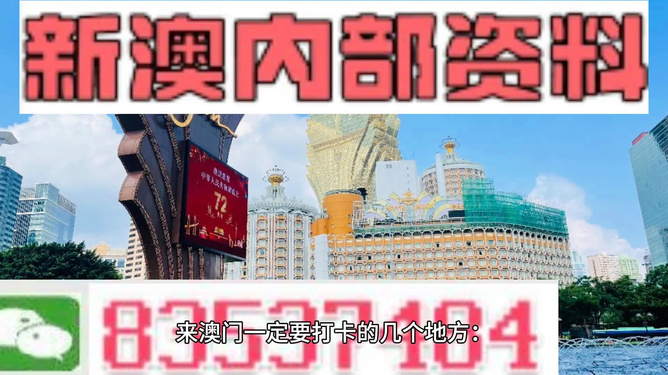 新澳2024正版免费资料的统一释义与落实策略