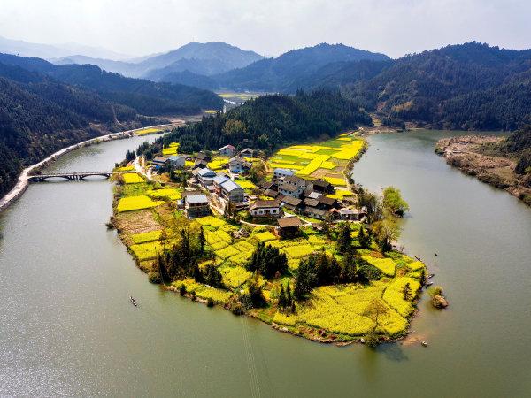 通道县播阳农场最新天气预报