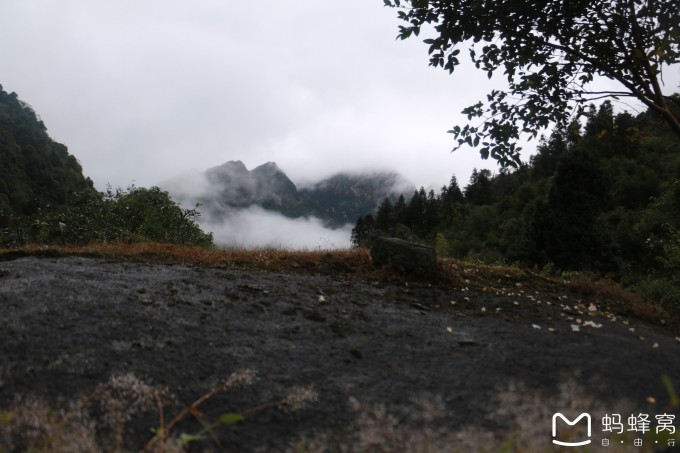 峻岭林场最新天气预报