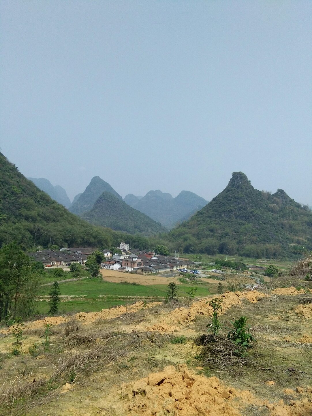 松江区石湖荡镇 第155页