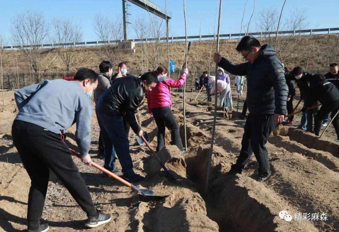 大麻森乡最新天气预报