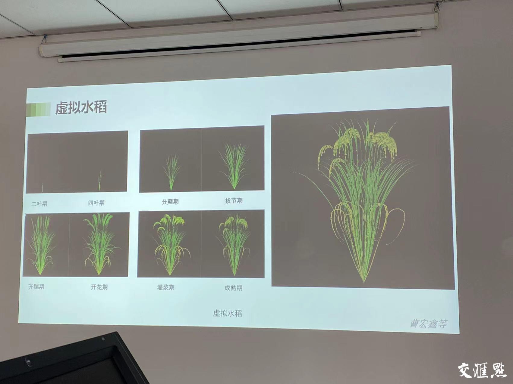 农场虚拟乡最新人事任命及其影响