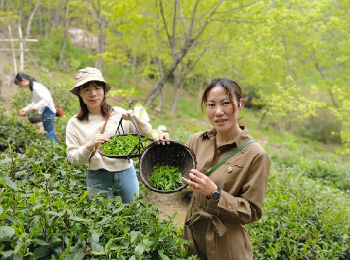 临安市特殊教育事业单位最新新闻