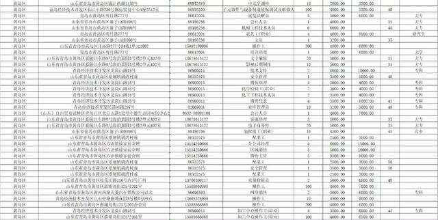 陇南市最新招聘信息概览