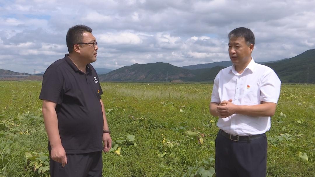 莲花村最新发展规划