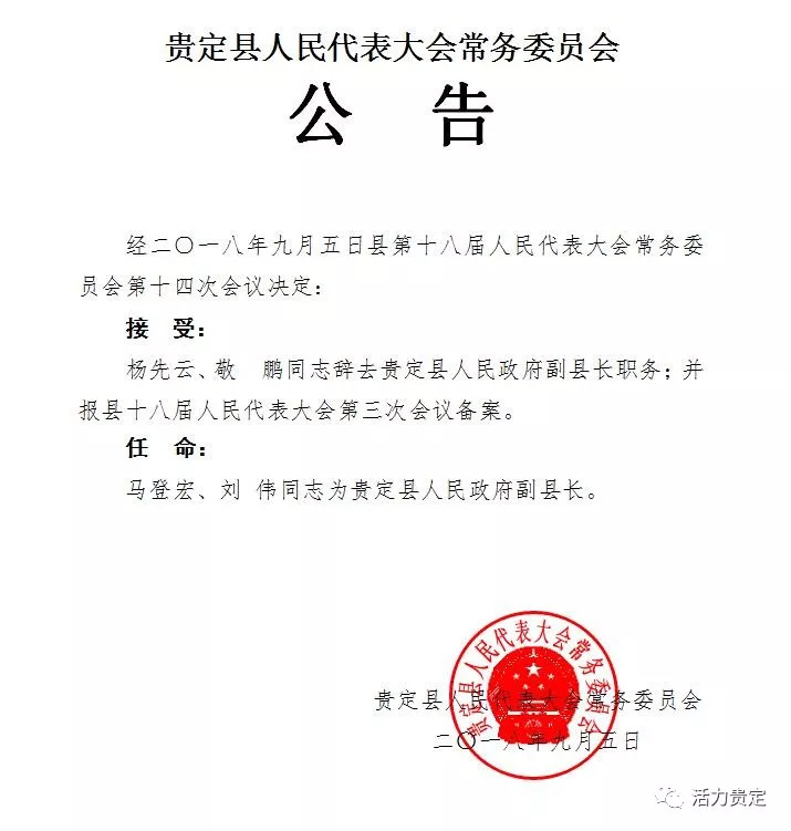 梧州市体育局最新人事任命，构建新时代体育发展新格局