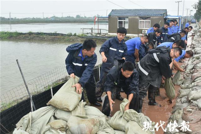 高淳县水利局最新领导团队，引领水利事业迈向新台阶