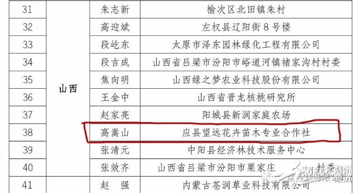 和林镇最新招聘信息概览