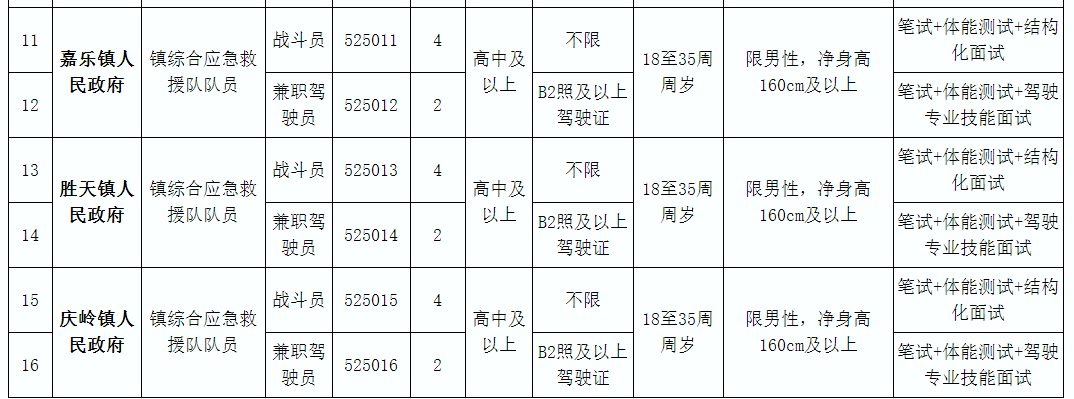 顺庆区应急管理局最新招聘信息概览