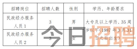 柏乡县数据和政务服务局最新招聘信息详解