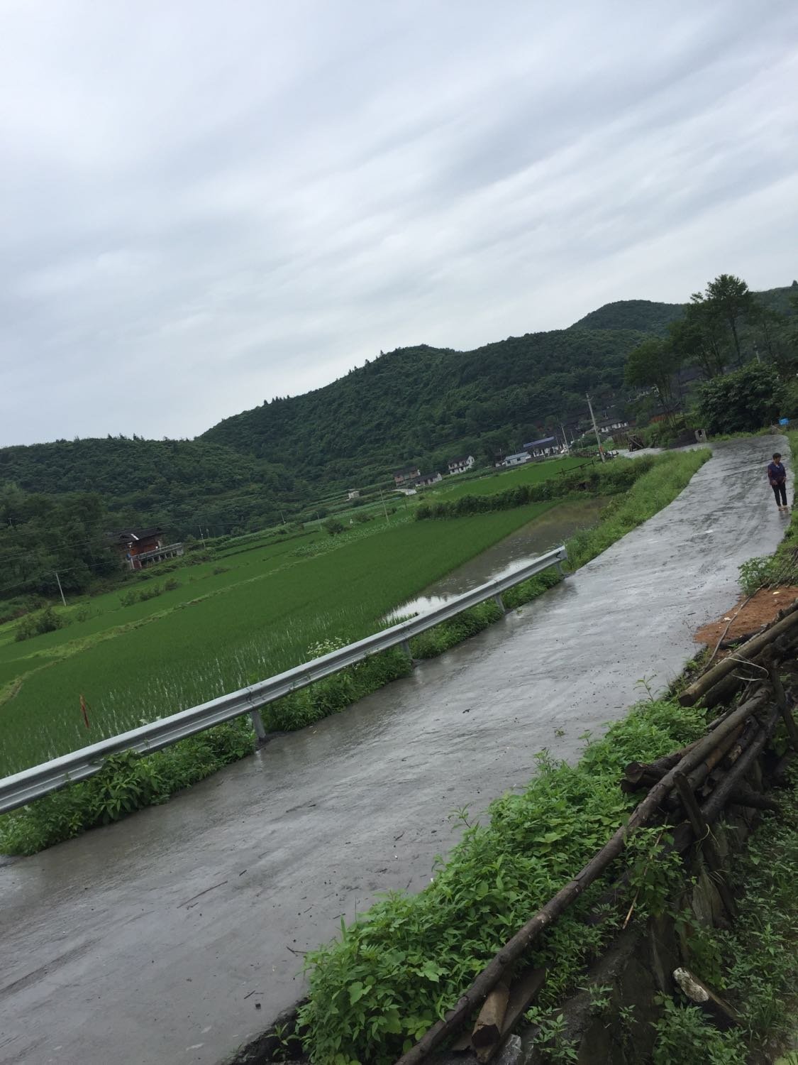 汪家河村民委员会最新天气预报