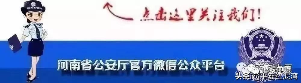 中原区人力资源和社会保障局最新发展规划