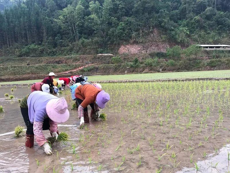 西盟佤族自治县防疫检疫站最新新闻报告