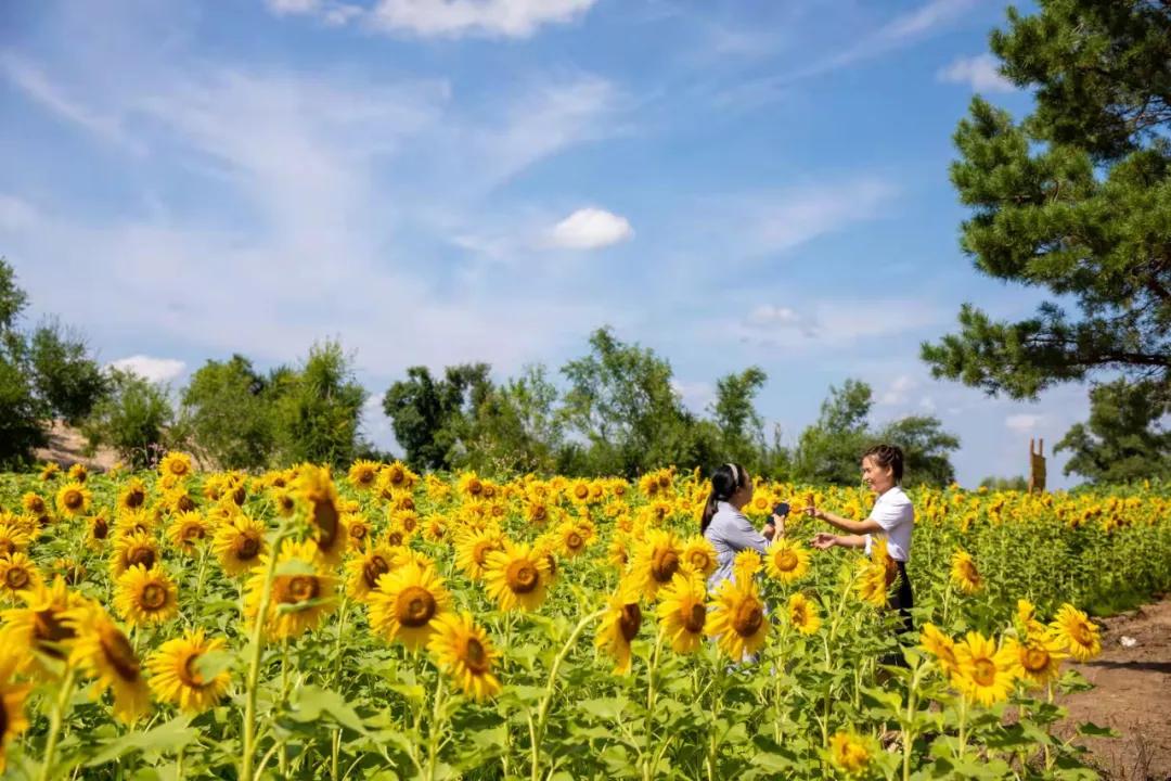 龙潭区文化广电体育和旅游局最新人事任命，塑造未来旅游业的崭新篇章