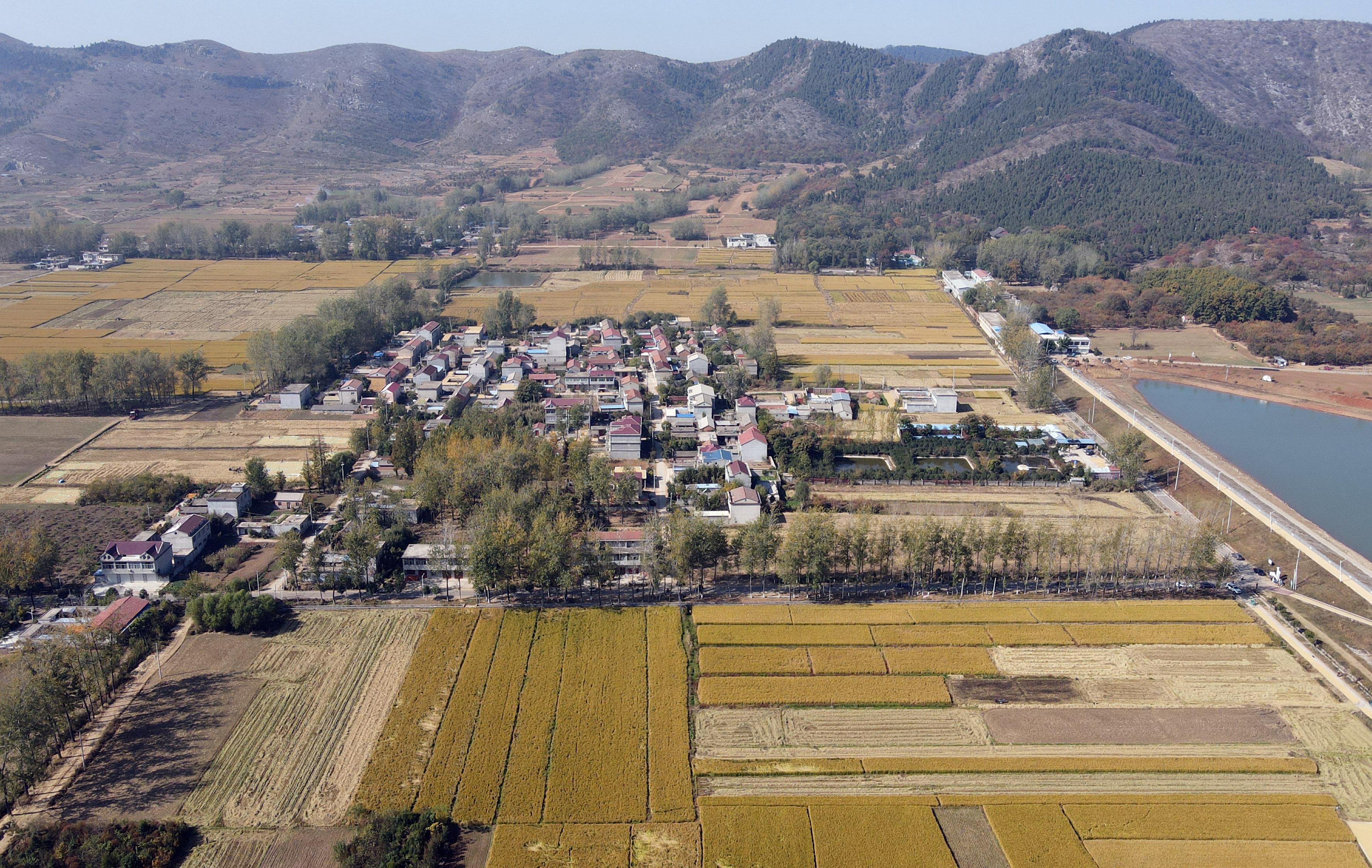 青山镇最新新闻报道