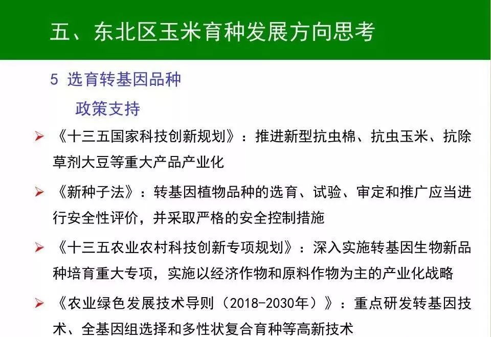 新荣区防疫检疫站最新项目进展与前景展望