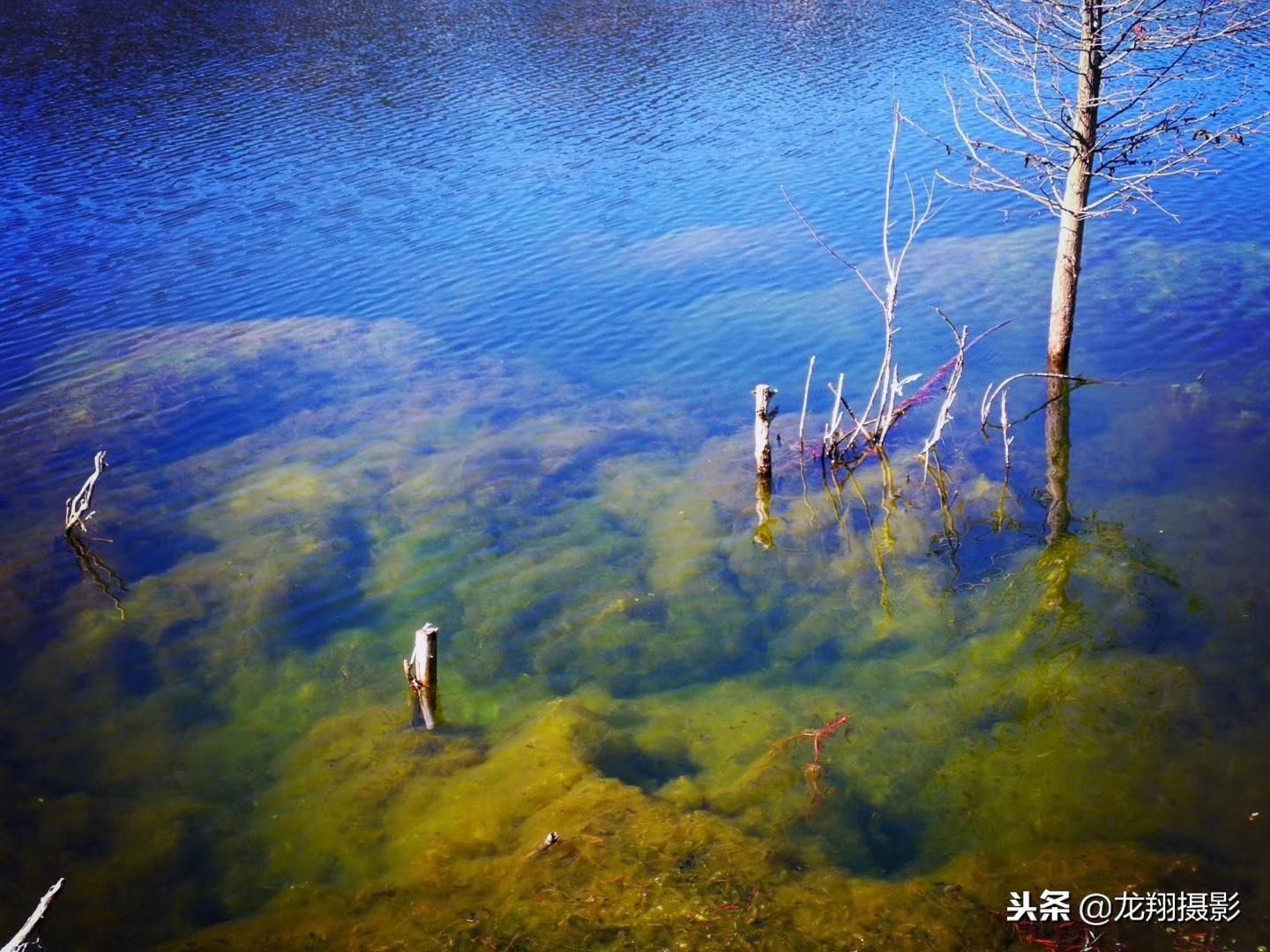 关岭布依族苗族自治县文化广电体育和旅游局最新人事任命，塑造新篇章，推动文化广电体育事业新发展