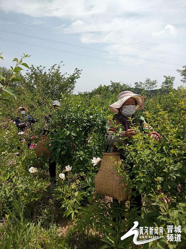 松江区石湖荡镇 第58页