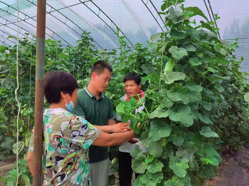 宁河县农业农村局最新项目，推动农业现代化，助力乡村振兴