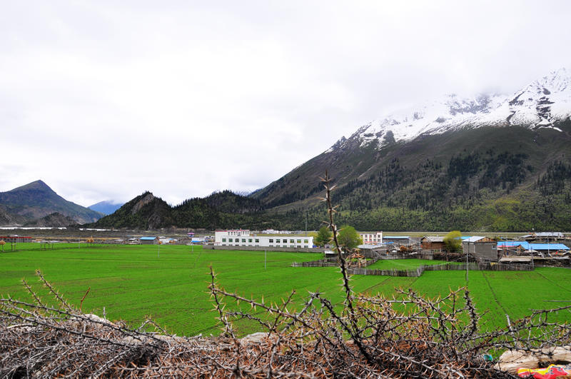 巴登则村最新天气预报