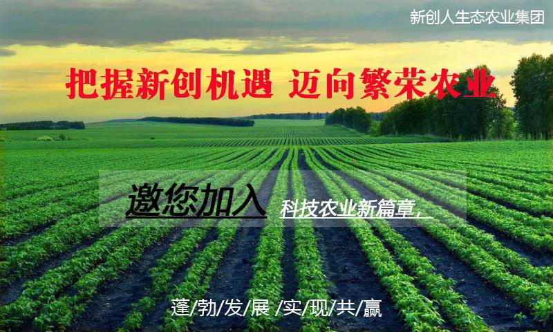 桦皮羌子林场最新人事任命，引领未来发展的新篇章