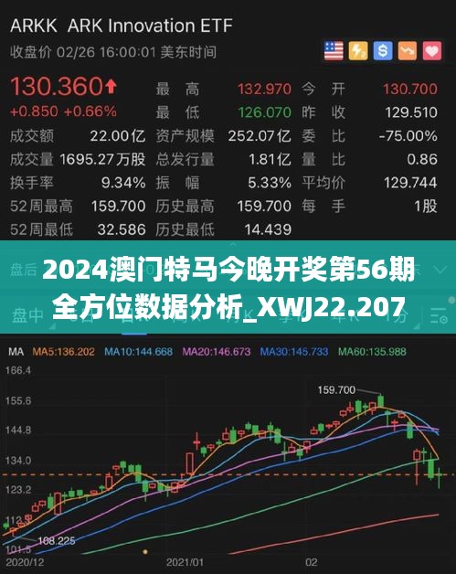 新澳2025年精准特马资料与可行释义解释落实