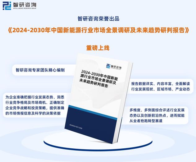 变革之路，解析新奥精准正版资料与落实行动策略