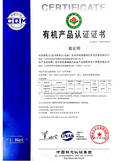 技术开发 第7页