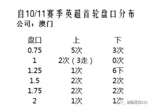 新澳门开奖结果与开奖号码，自释义解释与落实