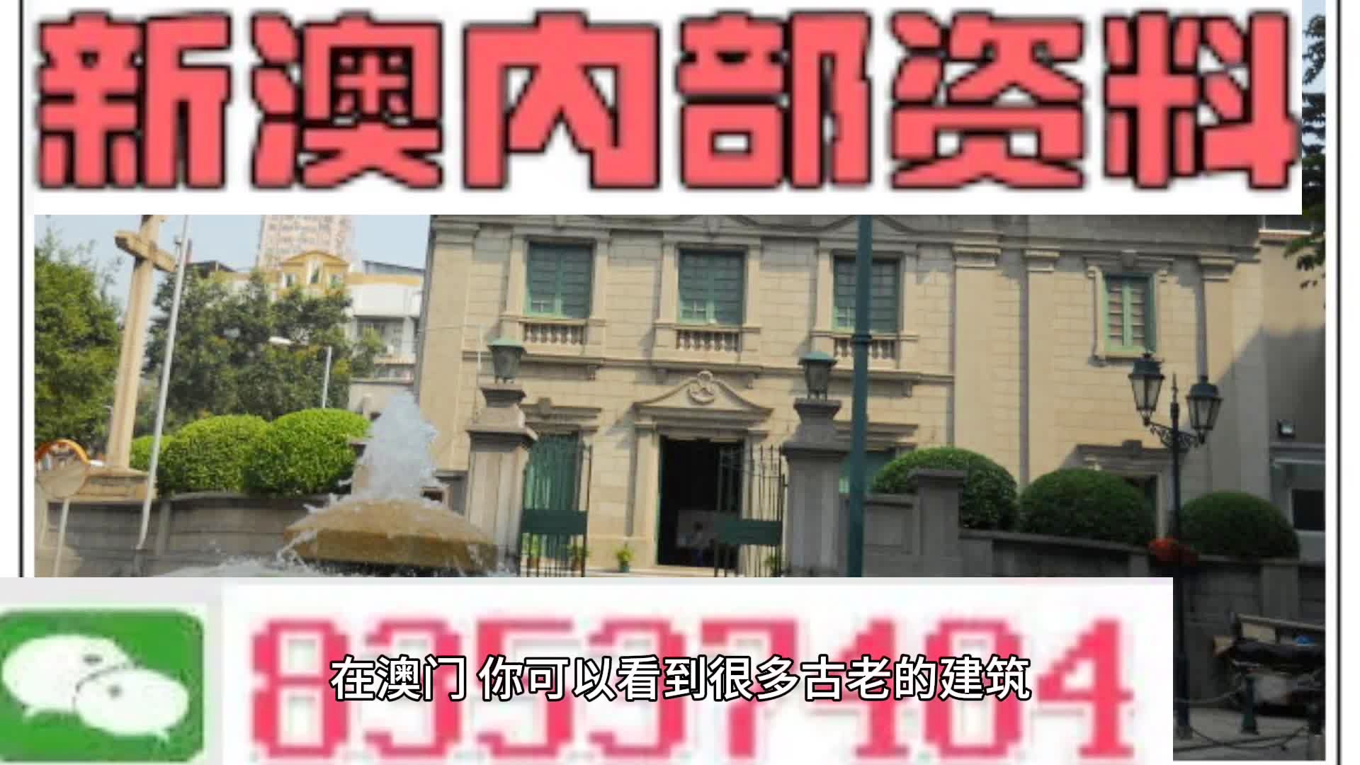 新澳门2025年资料大全与学问释义的落实解析