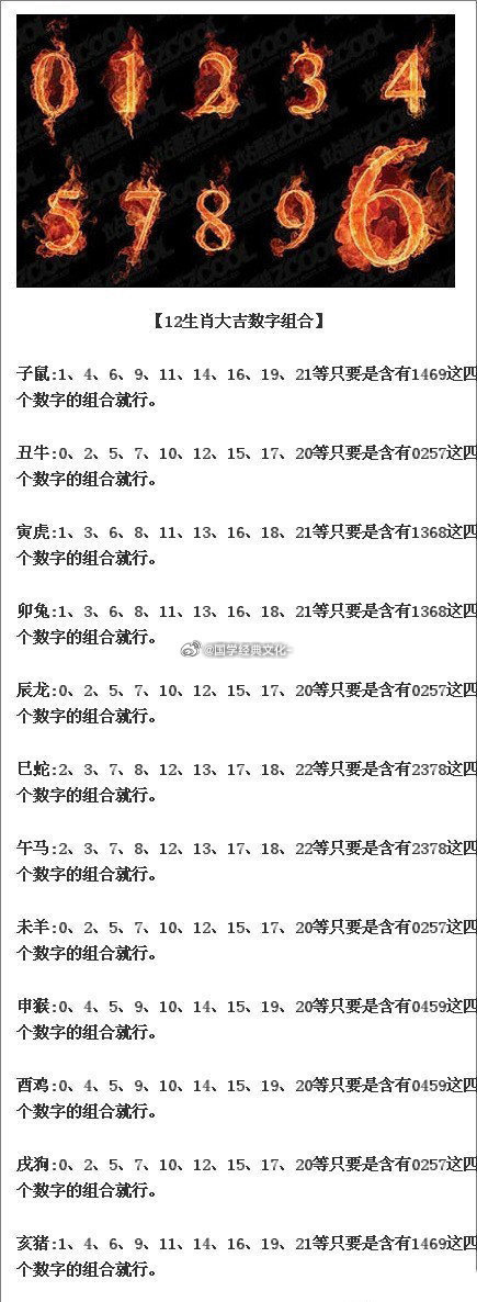 探究数字组合7777788888一肖一码的内涵释义与解释落实