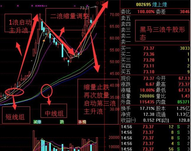 澳门特马第160期开奖，利润释义与落实策略