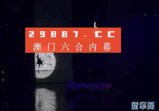 今晚澳门码特开什么号码，深度解析与释义解释落实