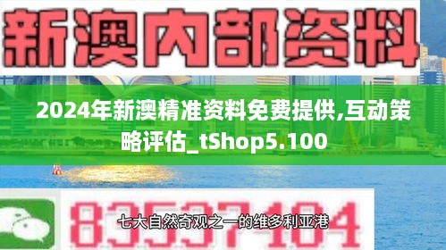 新澳2025年精准资料33期与闪电释义解释落实的探讨