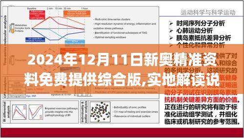 探索未来，解析新澳版资料正版图库与集体释义的落实策略