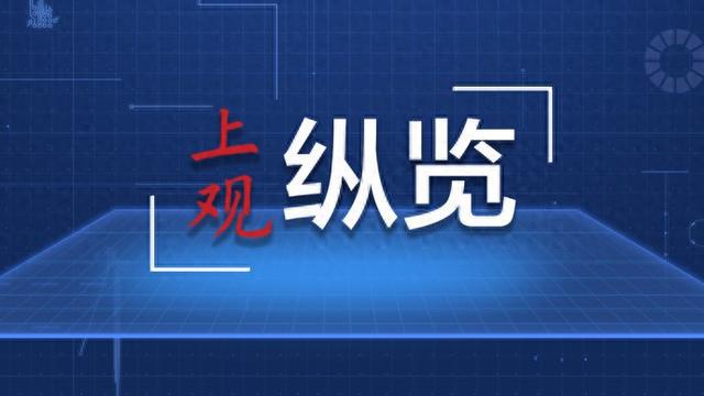 解析澳门精准免费大全平台，释义解释与落实策略