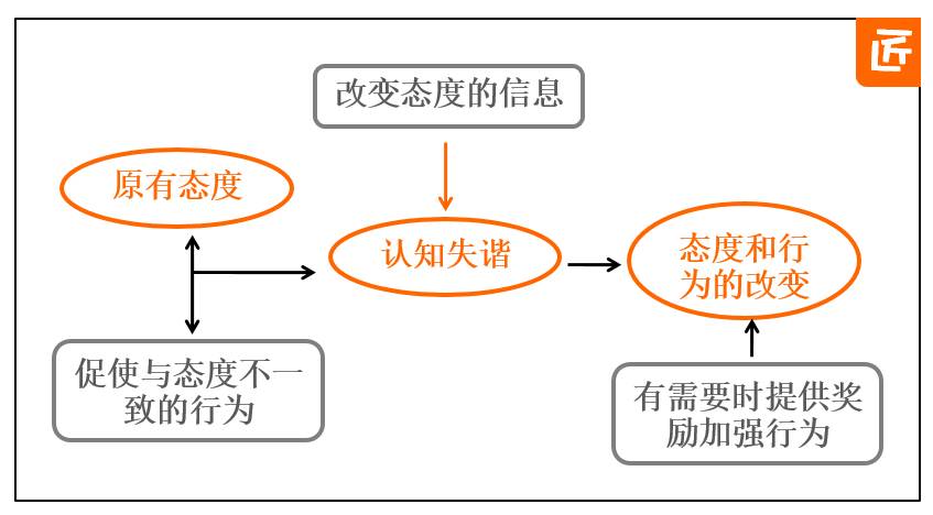 解析与落实，关于新澳天天免费资料的问题释义与行动策略