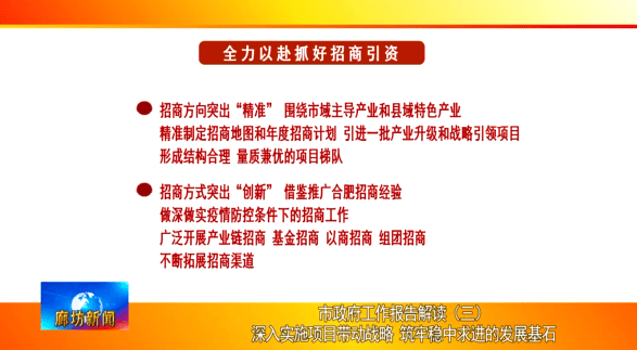 新奥彩2025最新资料大全，发掘释义、解释与落实