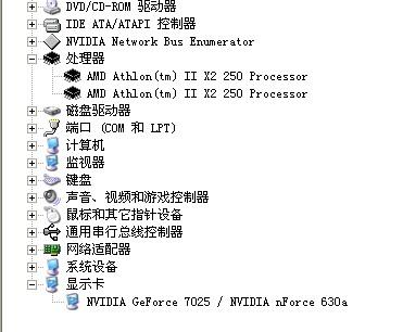 解读澳家婆一肖一特，力策释义与落实展望