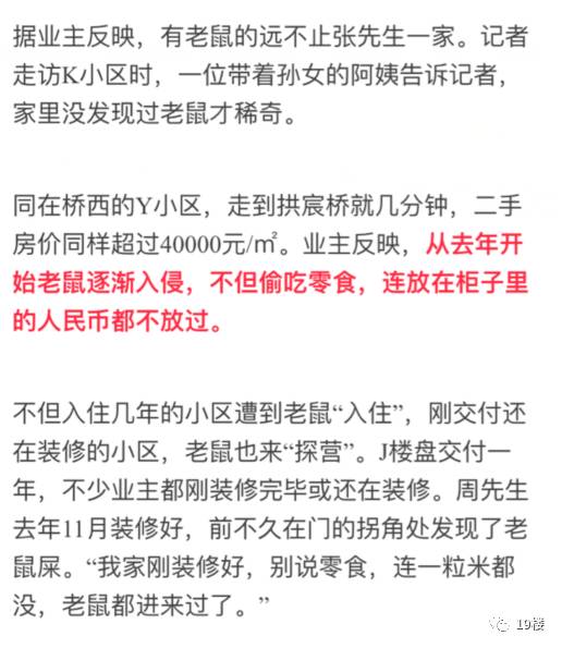 新澳天天开奖资料大全与鼠窜释义的深入解读