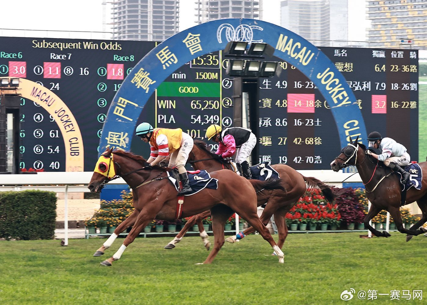 新澳门今晚开特马开奖，尊师释义与落实的重要性