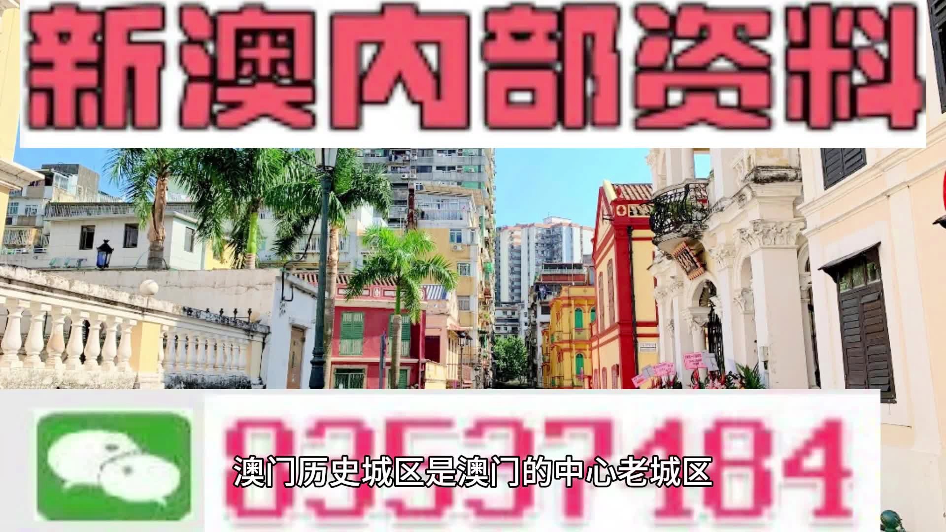 新澳门2025年资料大全宫家婆，多样释义与实施的蓝图