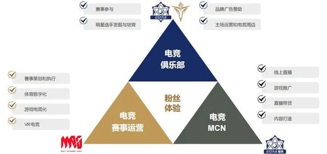 新澳门新气象，迈向2025年天天开好彩的雄伟蓝图与落实策略