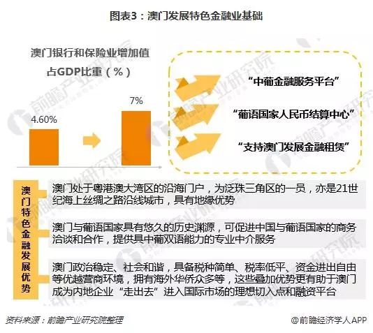 新澳门今晚开奖结果与开奖记录的深度解析，熟稔释义与落实观察