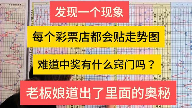 探索未来彩票奥秘，2025新澳门今晚开奖号码的核心释义与落实细节