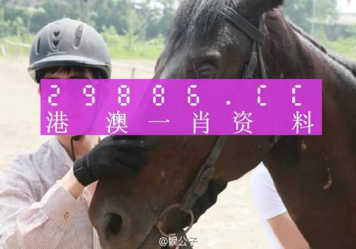 澳门一肖一码与学如释义解释落实，探索背后的意义与实际操作