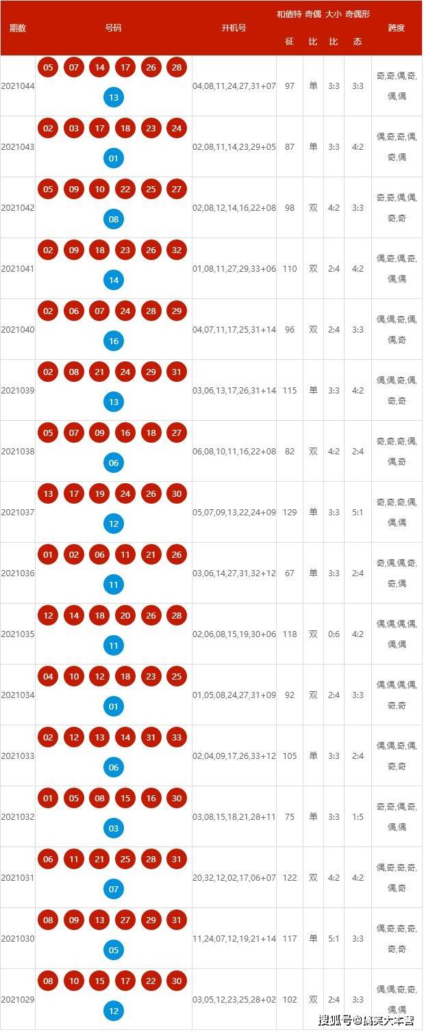 探索新澳开奖记录，名师释义与落实解析