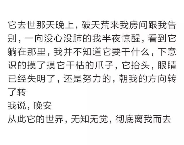 奥门特马特资料，动人释义与落实的深刻解读