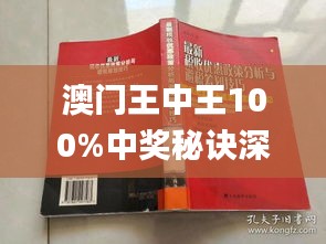 澳门王中王与环境释义，解读与落实的关键要素