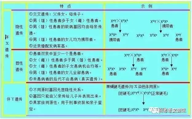 古典释义下的澳门特马开奖号码解析与落实策略（以2025年为例）